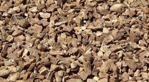 Glat burrerod, bruges i foderet til heste, gerne sammen med andre urter.