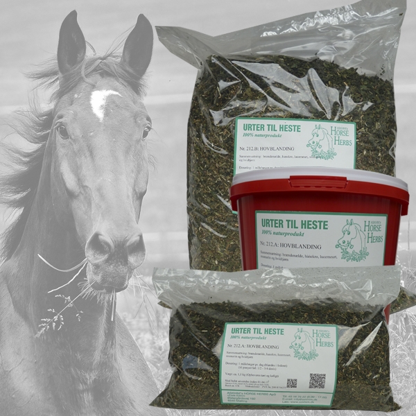 Mineralrige urter til hestens hove