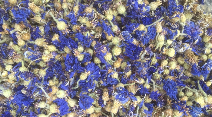 Kornblomst, blå, hele blomster (skaffevare)